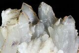 Quartz and Calcite Crystal Association - Mexico #71951-2